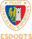 Piast Gliwice Esports