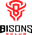 BISONS ECLUB