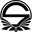 Team Singularity