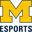 University of Michigan
