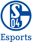 FC Schalke 04 Evolution