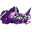 6Sense