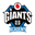 Vodafone Giants Academy