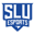 Saint Louis University