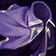 Cape d'agilité item icon